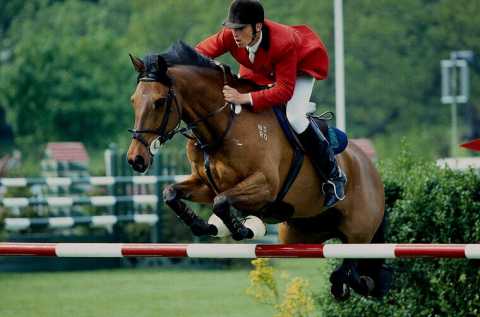Altamura, equitazione: arrivano i campionati regionali di salto ostacoli